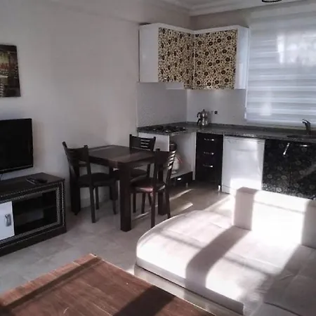 1 Yatak Odali Full Esyali Apartment